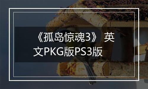 《孤岛惊魂3》 英文PKG版PS3版