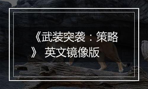 《武装突袭：策略》 英文镜像版