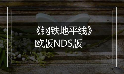 《钢铁地平线》 欧版NDS版