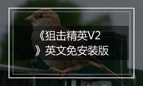 《狙击精英V2 》英文免安装版