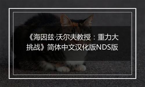 《海因兹·沃尔夫教授：重力大挑战》简体中文汉化版NDS版