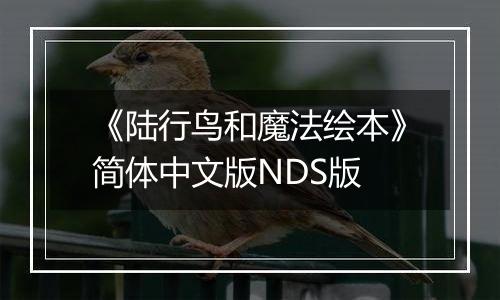 《陆行鸟和魔法绘本》简体中文版NDS版