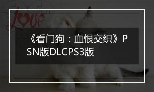 《看门狗：血恨交织》PSN版DLCPS3版