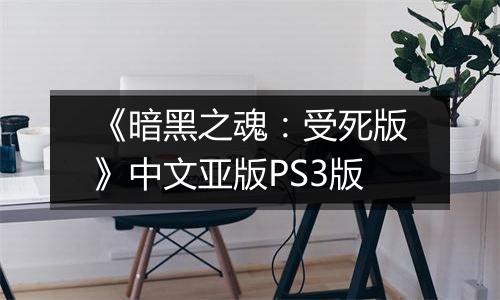《暗黑之魂：受死版》中文亚版PS3版
