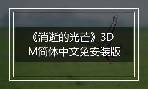 《消逝的光芒》3DM简体中文免安装版