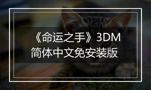 《命运之手》3DM简体中文免安装版