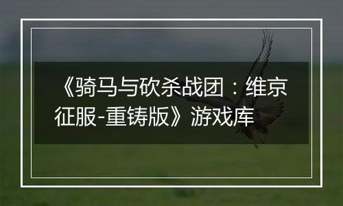 《骑马与砍杀战团：维京征服-重铸版》游戏库