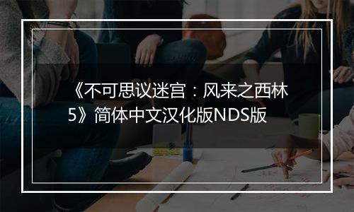 《不可思议迷宫：风来之西林5》简体中文汉化版NDS版
