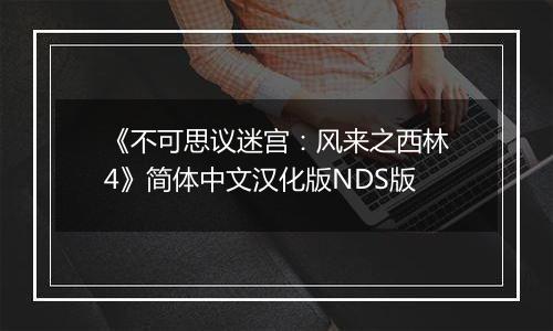 《不可思议迷宫：风来之西林4》简体中文汉化版NDS版