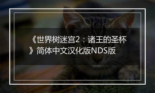 《世界树迷宫2：诸王的圣杯》简体中文汉化版NDS版