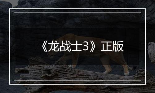 《龙战士3》正版