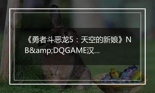 《勇者斗恶龙5：天空的新娘》NB&DQGAME汉化版NDS版