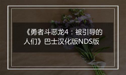 《勇者斗恶龙4：被引导的人们》巴士汉化版NDS版