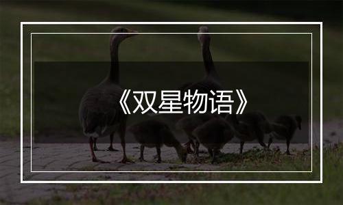 《双星物语》