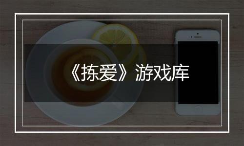 《拣爱》游戏库