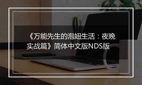 《万能先生的泡妞生活：夜晚实战篇》简体中文版NDS版