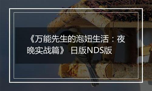 《万能先生的泡妞生活：夜晚实战篇》 日版NDS版