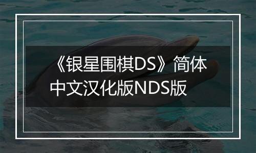 《银星围棋DS》简体中文汉化版NDS版