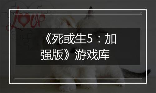 《死或生5：加强版》游戏库