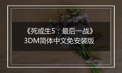 《死或生5：最后一战》 3DM简体中文免安装版