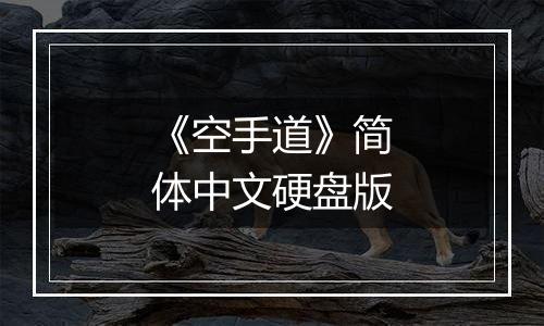 《空手道》简体中文硬盘版