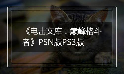 《电击文库：巅峰格斗者》PSN版PS3版