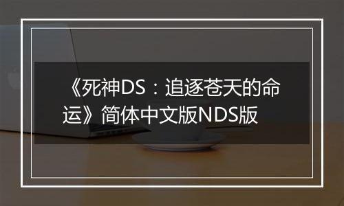 《死神DS：追逐苍天的命运》简体中文版NDS版