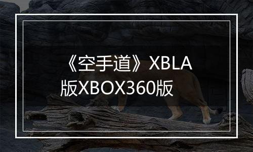 《空手道》XBLA版XBOX360版