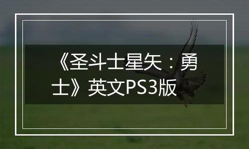 《圣斗士星矢：勇士》英文PS3版