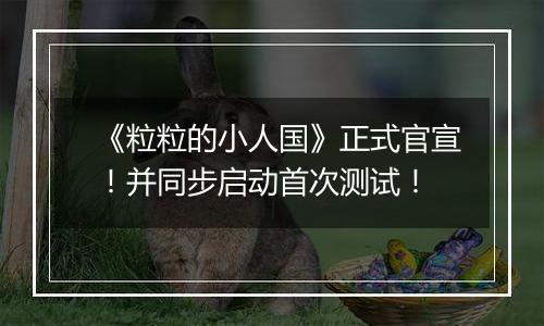 《粒粒的小人国》正式官宣！并同步启动首次测试！
