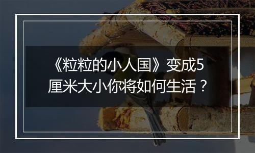 《粒粒的小人国》变成5厘米大小你将如何生活？