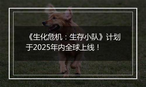 《生化危机：生存小队》计划于2025年内全球上线！