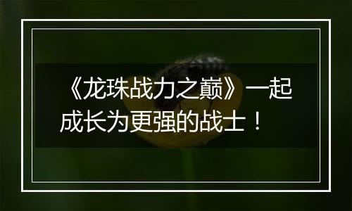 《龙珠战力之巅》一起成长为更强的战士！