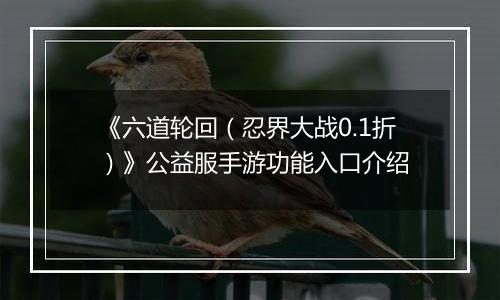 《六道轮回（忍界大战0.1折）》公益服手游功能入口介绍