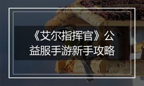 《艾尔指挥官》公益服手游新手攻略
