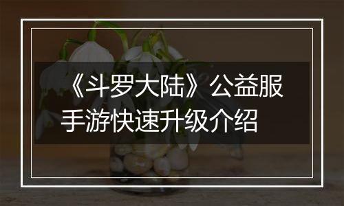 《斗罗大陆》公益服手游快速升级介绍