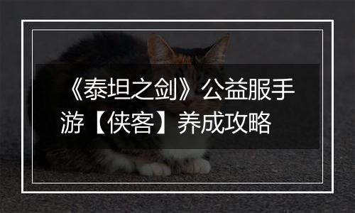 《泰坦之剑》公益服手游【侠客】养成攻略