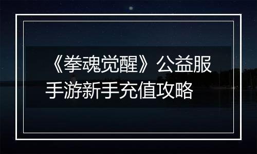 《拳魂觉醒》公益服手游新手充值攻略