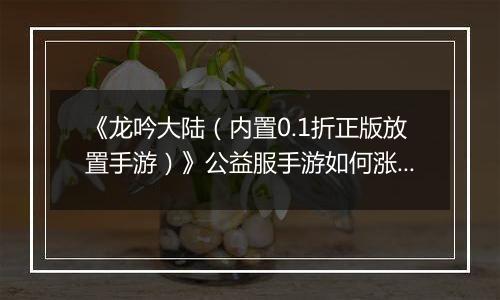 《龙吟大陆（内置0.1折正版放置手游）》公益服手游如何涨战力