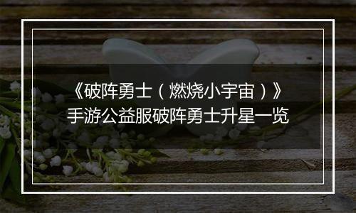 《破阵勇士（燃烧小宇宙）》手游公益服破阵勇士升星一览