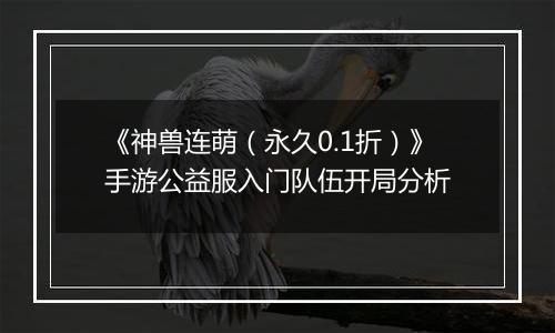 《神兽连萌（永久0.1折）》手游公益服入门队伍开局分析