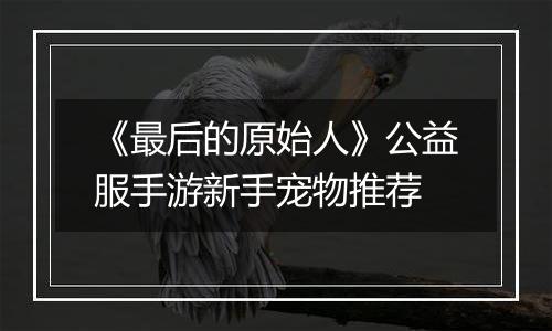 《最后的原始人》公益服手游新手宠物推荐