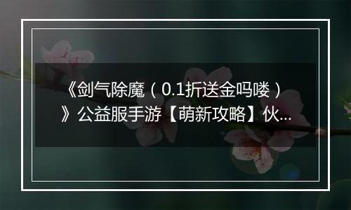 《剑气除魔（0.1折送金吗喽）》公益服手游【萌新攻略】伙伴的选择