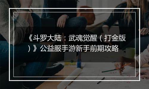 《斗罗大陆：武魂觉醒（打金版）》公益服手游新手前期攻略