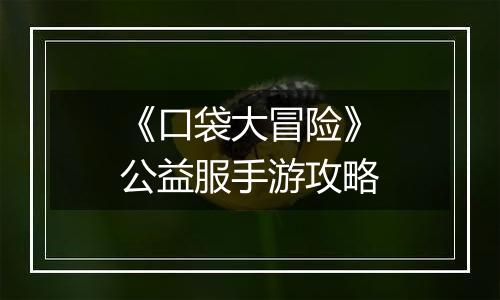 《口袋大冒险》公益服手游攻略