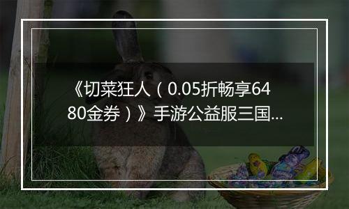 《切菜狂人（0.05折畅享6480金券）》手游公益服三国阵容推荐