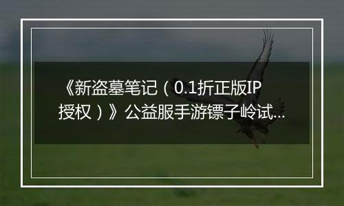 《新盗墓笔记（0.1折正版IP授权）》公益服手游镖子岭试炼开启！