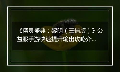 《精灵盛典：黎明（三倍版）》公益服手游快速提升输出攻略介绍