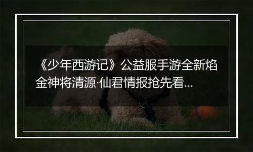 《少年西游记》公益服手游全新焰金神将清源·仙君情报抢先看！