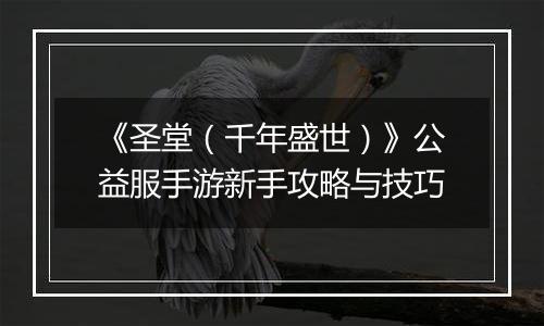 《圣堂（千年盛世）》公益服手游新手攻略与技巧